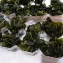 塩蔵わかめの快適な戻し方 冷凍保存 レシピ 作り方 By Hideok8 楽天レシピ 塩蔵わかめの快適な戻し方 冷凍保存 レシピ 作り方 By Hideok8 楽天レシピ